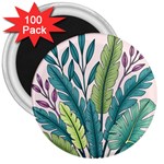 Illustrations Plants Nature Leaves 3  Magnets (100 pack)