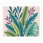 Illustrations Plants Nature Leaves Small Glasses Cloth