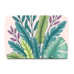 Illustrations Plants Nature Leaves Plate Mats