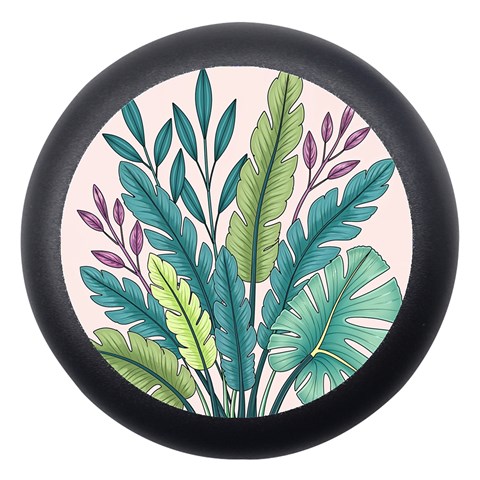 Illustrations Plants Nature Leaves Dento Box with Mirror from ArtsNow.com Front