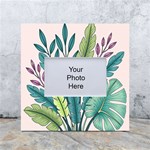 Illustrations Plants Nature Leaves White Box Photo Frame 4  x 6 