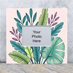 Illustrations Plants Nature Leaves White Wall Photo Frame 5  x 7 