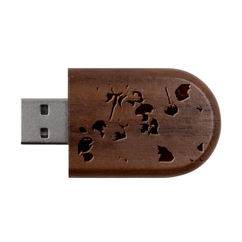 Pink Roses Wood Oval USB Flash Drive from ArtsNow.com USB