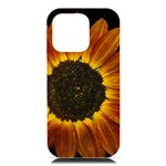 Orange Sunflower Phone Case iPhone 16 Pro Max Black UV Print PC Hardshell Case