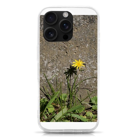 Paintbrush Flower iPhone 16 Pro TPU UV Print Case from ArtsNow.com Front