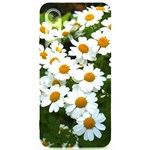 Daisy Flowers Samsung Galaxy S24 6.2 Inch Black TPU UV Case