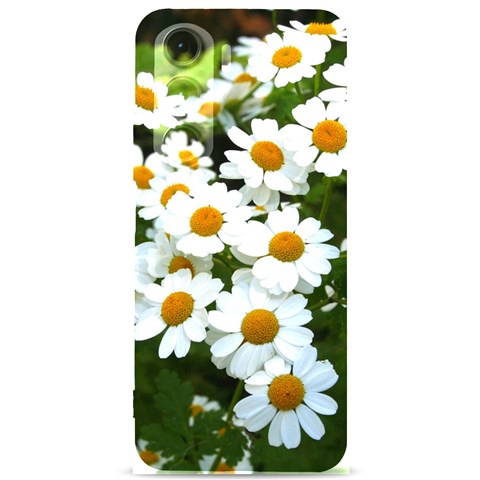 Daisy Flowers Samsung Galaxy S24 Plus 6.7 Inch Black TPU UV Case from ArtsNow.com Front