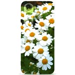 Daisy Flowers Samsung Galaxy S24 Plus 6.7 Inch Black TPU UV Case