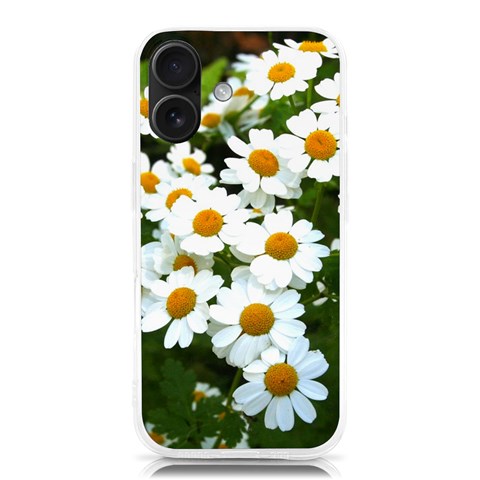 Daisy Flowers iPhone 16 TPU UV Print Case from ArtsNow.com Front