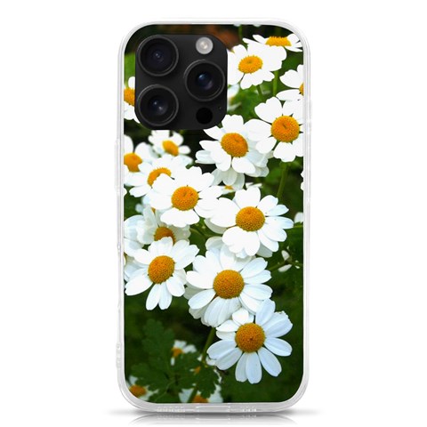 Daisy Flowers iPhone 16 Pro TPU UV Print Case from ArtsNow.com Front