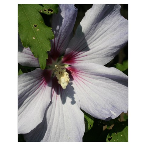 Purple Mallow Flower Drawstring Pouch (XL) from ArtsNow.com Front