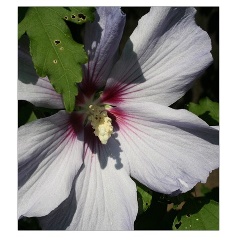 Purple Mallow Flower Drawstring Pouch (2XL) from ArtsNow.com Front