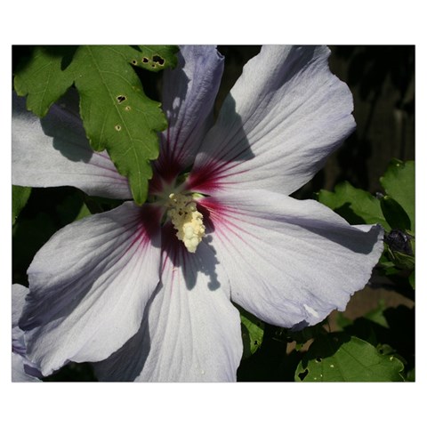 Purple Mallow Flower Medium Tote Bag from ArtsNow.com Back