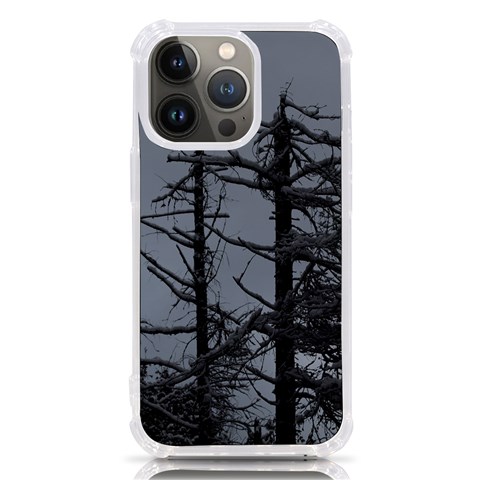 Nordic Woods iPhone 13 Pro TPU UV Print Case from ArtsNow.com Front