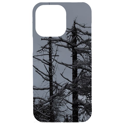 Nordic Woods iPhone 15 Pro Max Black UV Print PC Hardshell Case from ArtsNow.com Front