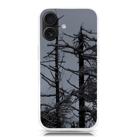 Nordic Woods iPhone 16 TPU UV Print Case from ArtsNow.com Front