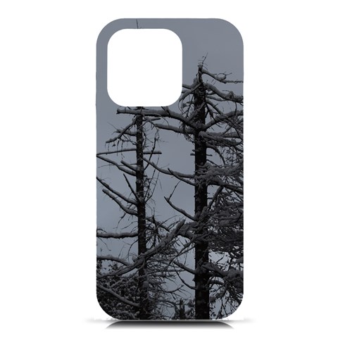 Nordic Woods iPhone 16 Pro Black UV Print PC Hardshell Case from ArtsNow.com Front