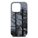 Nordic Woods iPhone 16 Pro Black UV Print PC Hardshell Case