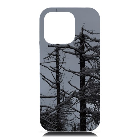 Nordic Woods iPhone 16 Pro Max Black UV Print PC Hardshell Case from ArtsNow.com Front