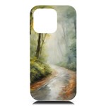 Woods path  iPhone 16 Pro Max Black UV Print PC Hardshell Case