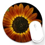 Night time Sunflower Round Mousepad