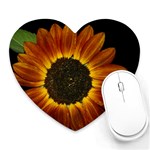 Night time Sunflower Heart Mousepad