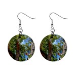 Patagonian Forest Trees Close-up, Rio Negro Province, Patagonia, Argentina Mini Button Earrings