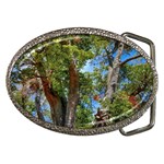 Patagonian Forest Trees Close-up, Rio Negro Province, Patagonia, Argentina Belt Buckles