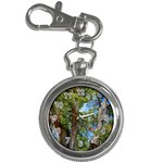 Patagonian Forest Trees Close-up, Rio Negro Province, Patagonia, Argentina Key Chain Watches