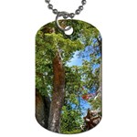 Patagonian Forest Trees Close-up, Rio Negro Province, Patagonia, Argentina Dog Tag (One Side)