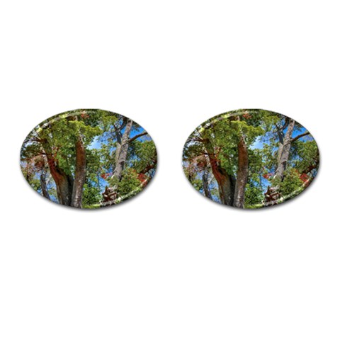 Patagonian Forest Trees Close Front(Pair)