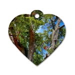 Patagonian Forest Trees Close-up, Rio Negro Province, Patagonia, Argentina Dog Tag Heart (One Side)