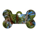 Patagonian Forest Trees Close-up, Rio Negro Province, Patagonia, Argentina Dog Tag Bone (Two Sides)