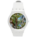 Patagonian Forest Trees Close-up, Rio Negro Province, Patagonia, Argentina Round Plastic Sport Watch (M)