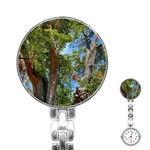 Patagonian Forest Trees Close-up, Rio Negro Province, Patagonia, Argentina Stainless Steel Nurses Watch