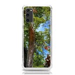 Patagonian Forest Trees Close-up, Rio Negro Province, Patagonia, Argentina Samsung Galaxy S20 6.2 Inch TPU UV Case