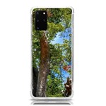 Patagonian Forest Trees Close-up, Rio Negro Province, Patagonia, Argentina Samsung Galaxy S20 Plus 6.7 Inch TPU UV Case