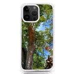 Patagonian Forest Trees Close-up, Rio Negro Province, Patagonia, Argentina iPhone 14 Pro Max TPU UV Print Case