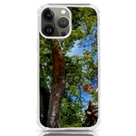 Patagonian Forest Trees Close-up, Rio Negro Province, Patagonia, Argentina iPhone 13 Pro Max TPU UV Print Case