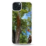 Patagonian Forest Trees Close-up, Rio Negro Province, Patagonia, Argentina iPhone 15 TPU UV Print Case