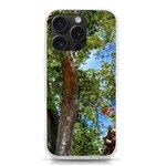 Patagonian Forest Trees Close-up, Rio Negro Province, Patagonia, Argentina iPhone 15 Pro TPU UV Print Case