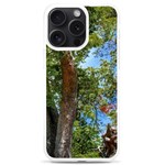 Patagonian Forest Trees Close-up, Rio Negro Province, Patagonia, Argentina iPhone 15 Pro Max TPU UV Print Case