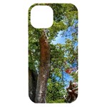 Patagonian Forest Trees Close-up, Rio Negro Province, Patagonia, Argentina iPhone 15 Black UV Print PC Hardshell Case