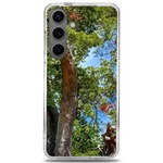 Patagonian Forest Trees Close-up, Rio Negro Province, Patagonia, Argentina Samsung Galaxy S24 6.2 Inch TPU UV Case