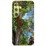 Patagonian Forest Trees Close-up, Rio Negro Province, Patagonia, Argentina Samsung Galaxy S24 6.2 Inch Black TPU UV Case