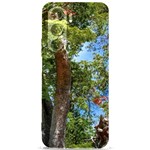 Patagonian Forest Trees Close-up, Rio Negro Province, Patagonia, Argentina Samsung Galaxy S24 Plus 6.7 Inch Black TPU UV Case