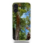 Patagonian Forest Trees Close-up, Rio Negro Province, Patagonia, Argentina iPhone 16 TPU UV Print Case