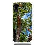 Patagonian Forest Trees Close-up, Rio Negro Province, Patagonia, Argentina iPhone 16 Plus TPU UV Print Case