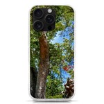 Patagonian Forest Trees Close-up, Rio Negro Province, Patagonia, Argentina iPhone 16 Pro TPU UV Print Case