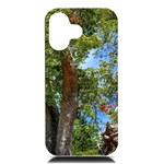 Patagonian Forest Trees Close-up, Rio Negro Province, Patagonia, Argentina iPhone 16 Black UV Print PC Hardshell Case